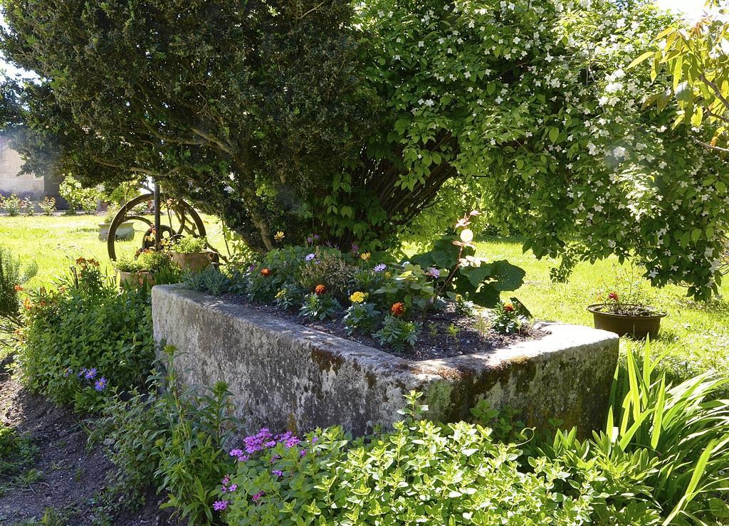 Bed and Breakfast Le Vieux Noyer Saint-Maurice-de-Tavernole Exteriér fotografie
